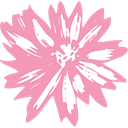 Montana Womens Run logo