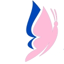 Womenvoicenetwork logo