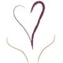 Women with Willpower logo