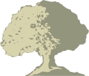 Wood Financial Group, Llc logo