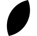 Woodhall Capital logo