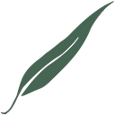 Woodleigh School   A School Of Independent Thought logo