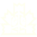 Woodridge village (pt.) logo