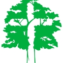 Woods Chapel Baptist Church logo