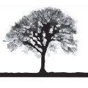 Woodvale Studios logo