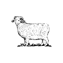 Woolrich Outdoor Foundation logo