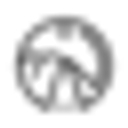 worldbynika.com icon