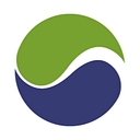 World Synergy logo