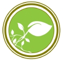 Wowgreen logo
