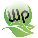 Wp Rendering And Plastering logo