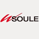 Favicon of W. Soule & Co