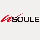 W. Soule & Co. logo