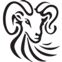 Wsp Textiles Ltd. logo