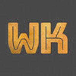 WU KONG LTD logo