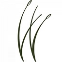 Wuskowhan Players Club logo