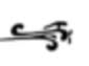 West Valley Flying Club logo