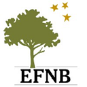 Education Foundation of New Berlin Inc logo