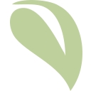 Syracuse Area Health