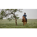 Ariat Mexico