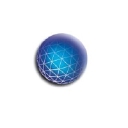 bioStrategies Group logo