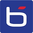 Bluechip Infotech logo