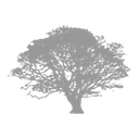 Black Oak Mine Unified School District