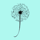 Boutique Dandelion