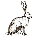 Bunny Williams Home