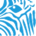 Blue Zebra Insurance logo