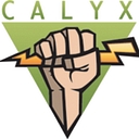 The Calyx Institute