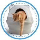 CatGenie