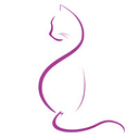 CatsEssentials 