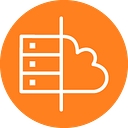 Cayosoft logo