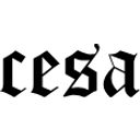cesaclothing