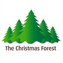 Christmas Forest