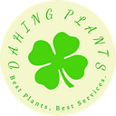 Dahing Plants