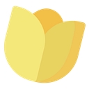 Delion Care Services