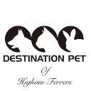 Destination Pet