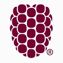 Dewberry Engineers Incorporated logo