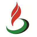 Dubai Petroleum logo