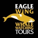 www.eaglewingtours.com icon