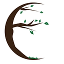 Elm Dirt