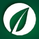 Essencis logo