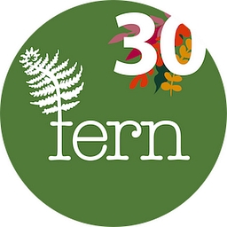 Fern - logo