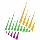 First Nordic Metals Corp logo