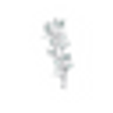 Flint And Honey