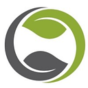 From The Forest, LLC