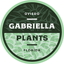 Gabriella Plants