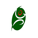 Green Paddle