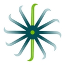 Jackson Jade Therapy